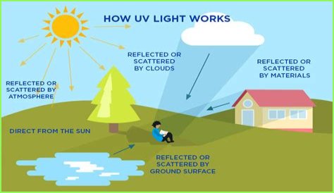 What are the two types of UV light?