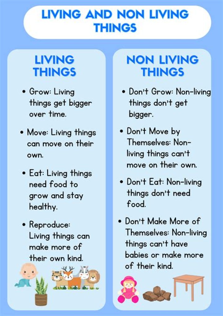 Are foods living or nonliving?