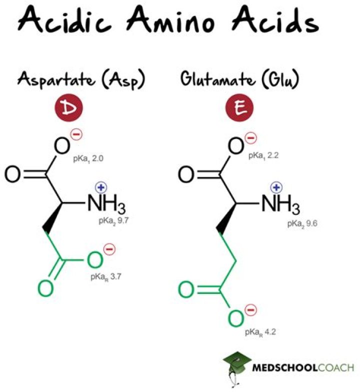 Are potatoes acidic or basic?