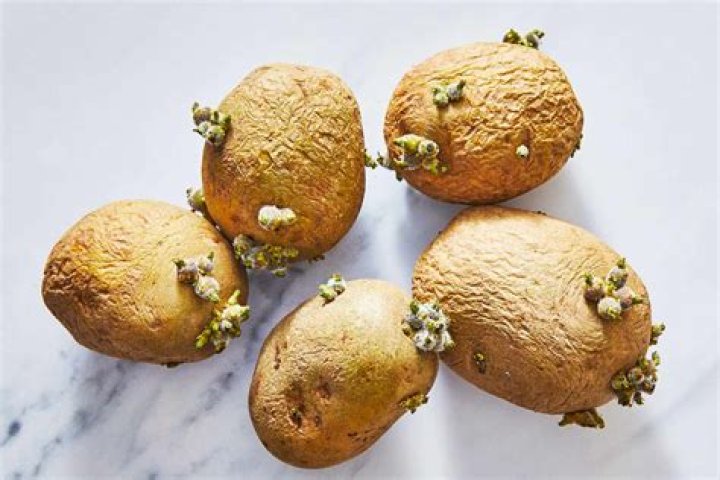 Can you eat potatoes that are soft?