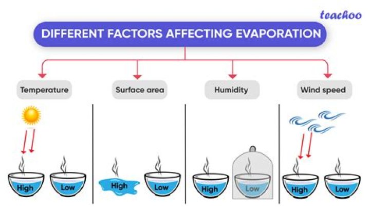 What are the factors that affect thermal energy?