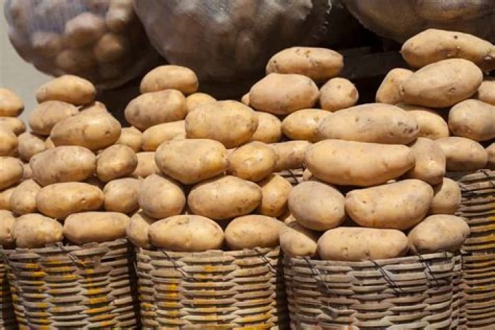 What county in Idaho grows the most potatoes?