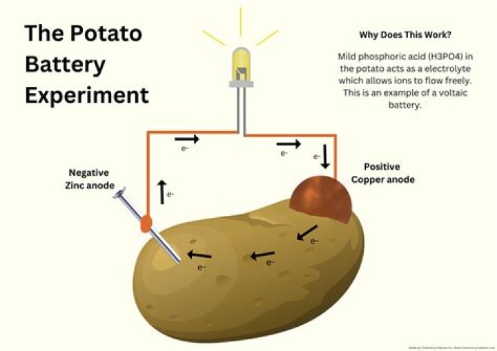 What experiments can you do with a potato?