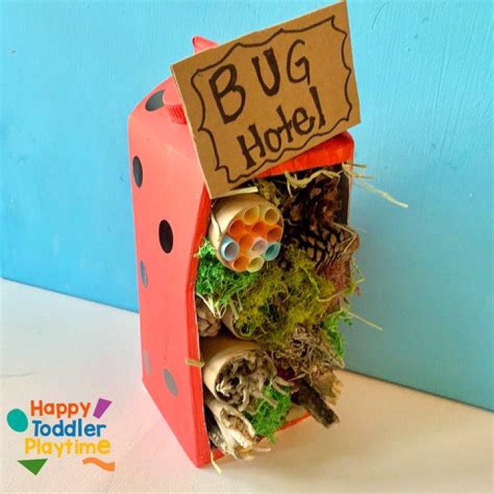 What is living in my bug hotel?