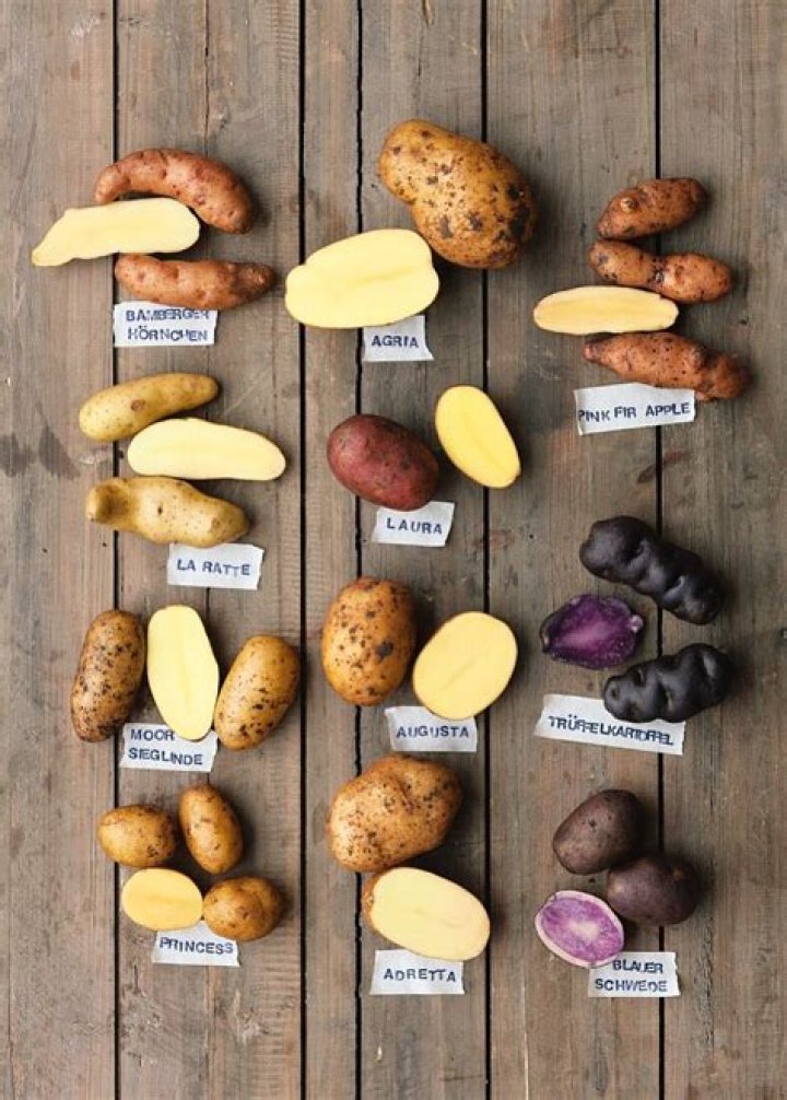 Why is the potato named the Irish potato in North America?